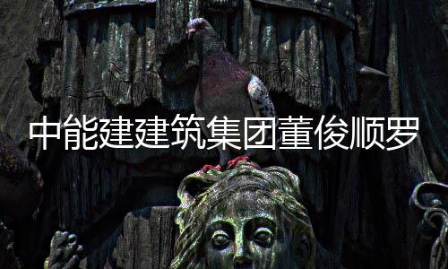 中能建建筑集团董俊顺罗耕能与国电电力大同湖东发电有限公司副总经理王文博座谈 