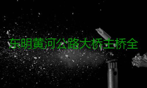 东明黄河公路大桥主桥全线贯通 将实现河南山东交通网新衔接 全线为黄河公路第一长桥