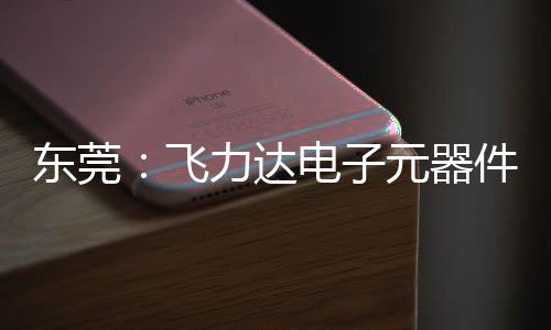 东莞：飞力达电子元器件智慧枢纽在沙田投用，服务湾区供应链 东莞达电智能化集散中心