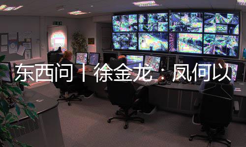 东西问丨徐金龙：凤何以成为中华民族文化标识？ 