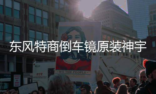 东风特商倒车镜原装神宇擎宇三环大运风度倒车镜汽车反光镜后视镜 