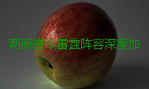 两新援令雷霆阵容深度加深 威少再度发掘超新星 这可是两新雷霆难得的荣誉