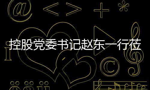 控股党委书记赵东一行莅临环境指导工作 稳扎稳打地推进各项党建工作