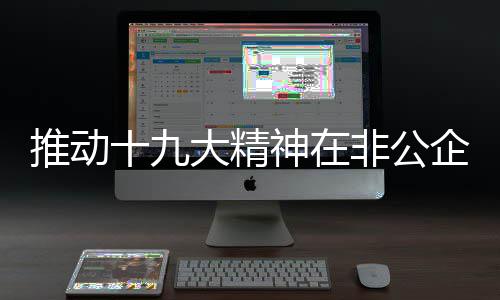 推动织中大精和社会组非公企业落地十九神在生根