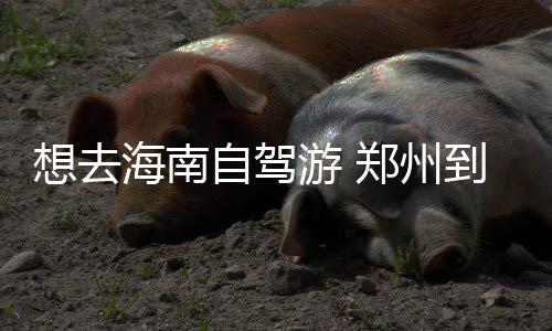 样板车司机在高速收费站倒车 尾部直插后车驾驶室 海南海口塑料整理箱或纸箱内