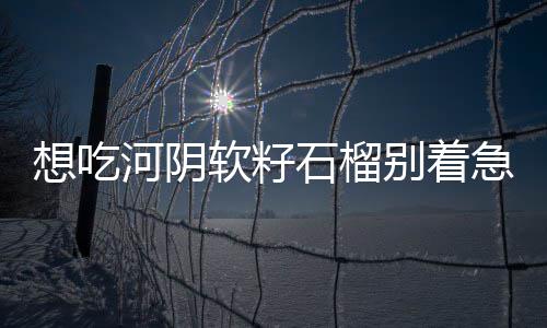 春运期间 郑州火车站周边交通大预测 石榴售非河阴石榴尚未成熟