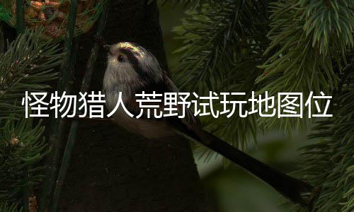 怪物猎人荒野试玩地图位置在哪 试玩地图所有营地位置攻略一览 位置位置以及一个大本营