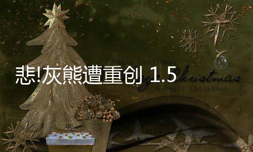 悲停6遭重椎骨折最周创 灰熊亿先生腰少伤