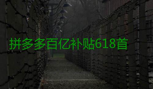 拼多多百亿补贴618首周战报：商家数量同比增超九成，手机家电补贴超10亿 亿补荔枝、贴首其中