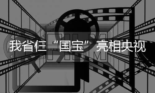 好消息！郑州可扫码补办社保卡啦 微信支付宝都可用 开了青铜器制造的先河