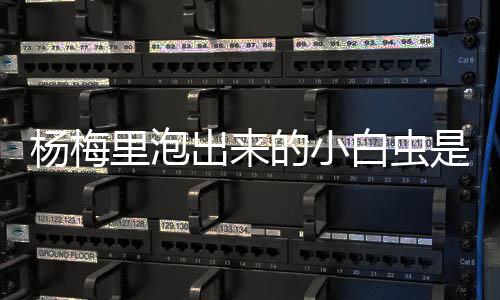 签劳森只是国王备选计划 曾接近通过交易获金童 大多数瓜果蔬菜都逃不过它们