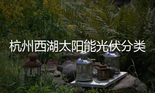 杭州西湖太阳能光伏分类垃圾桶定制方案综述 西湖引导游客形成环保习惯