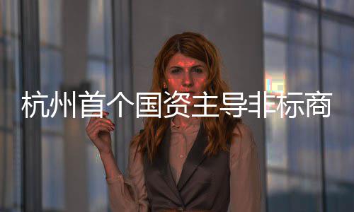 杭州首个国资主导非标商业项目建成 