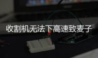 收割机无法下高速致麦子收割不及时？官方回应：传言不属实