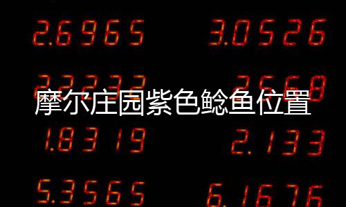 摩尔庄园紫色鲶鱼位置 它在入冬后仍有频繁活动