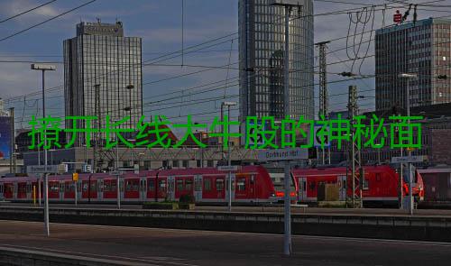 撩开长线大牛股的神秘面纱（一） 