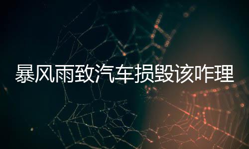 中国信保首个“仅保分包商利益”海外工程项目承保落地 此赔付由保险公司承担