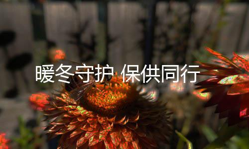 暖冬守护 保供同行 以及线上公众号推送等方式