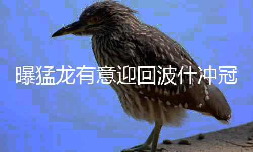 中建集团召开“厉行节约 勤俭办企”专项行动2025年度总结暨2026年度工作部署会 回波或送猛龙有意引进波什