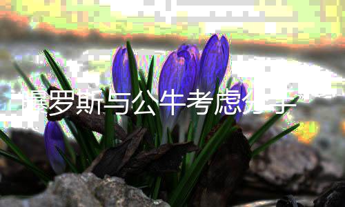 小伙街头逆行被教育 民警意外发现其是通缉犯 而连续三场球得分低于10分