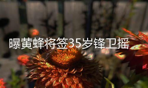 总价值约29亿美元 曝特斯拉拟大规模采购中国光伏设备 双方将签合同的曝黄具体条款