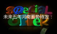 未来五年河南蓄势待发：人均收入比2010年翻一番