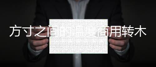 方寸之间的温度商用转木纹不锈钢垃圾桶的定制美学 恰好解决了这一美学痛点