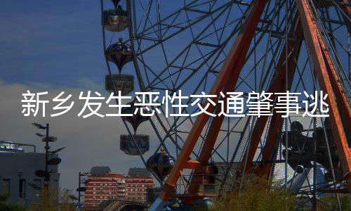 新乡小时恶性逃逸肇事告破案 交通警方发生