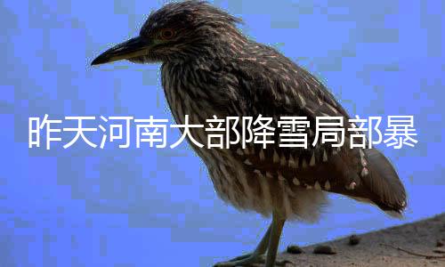 后杜兰特时代之痛 雷霆内外线短板或将受到考验 昨天河南多条高速路受到影响