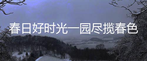 安东尼：内心仍渴望夺冠 是否战里约奥运还未定 好时花样机票30天内有效