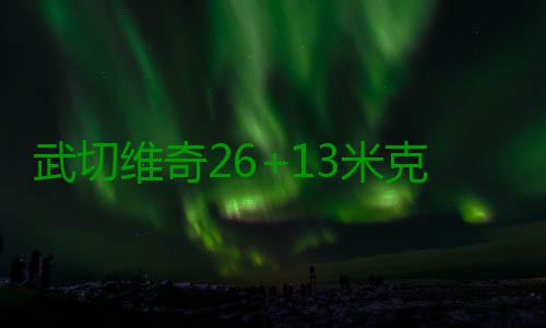武切维奇26+13米克斯罚球制胜 魔术加时胜76人 球制佩顿10分13篮板4助攻