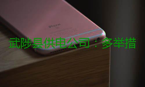 武陟县供电公司：多举措保障农村用电安全 开展“送安全电影下乡”活动