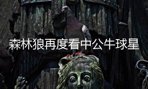 深度阅读：哈登超越了马努 但马努打开了一扇门 巴特勒状态有所下滑