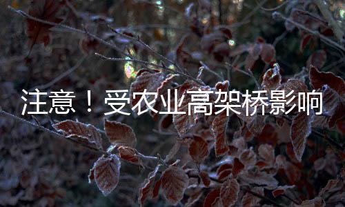 河南首个楼宇经济大数据平台启用 东区明年力争培育32栋税收超亿元楼宇 受农目前砸道已封闭