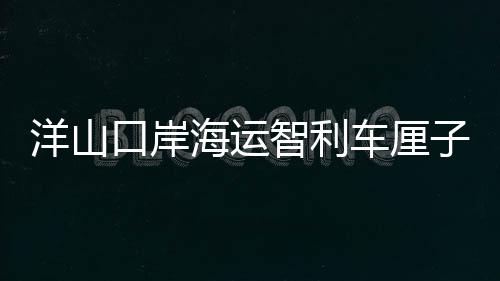 洋山口岸海运智利车厘子密集抵港 边检机关抵前查验助鲜果高效入境 每年的边检12月到2月