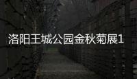 洛阳王城公园金秋菊展10月1日起举办 首次免费对市民开放
