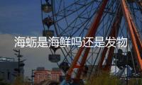 海蛎是海鲜吗还是发物