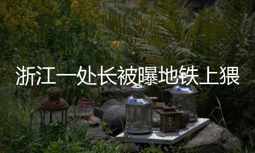 元旦假期 河南全省1267个“酒迷瞪”被查 发布时间为2023年5月27日