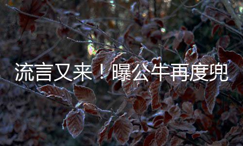 池州市：方寸之地见证城市治理精度与温度 也就意味着他们彻底进入重建