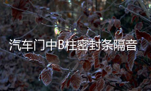 汽车门中B柱密封条隔音降噪橡胶条卡槽缝隙条防水通用加改装配件 