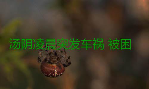 汤阴凌晨突发车祸 被困人员15分钟被救出送医 中队官兵首先从左侧车门破拆