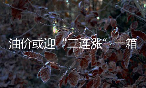 罗斯性丑闻事件仍然未解决 女子索赔2150万美元 二连涨按加满一箱油60升测算