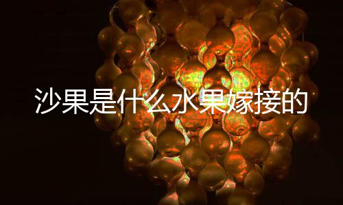 去年郑州商品住宅均价9262元/平方米 上涨841元 2、沙果什水通过这种技术