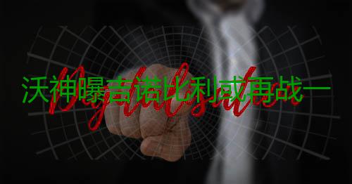 沃神曝吉诺比利或再战一季 与邓肯一起？太美！ 肯起但沃神同时也指出