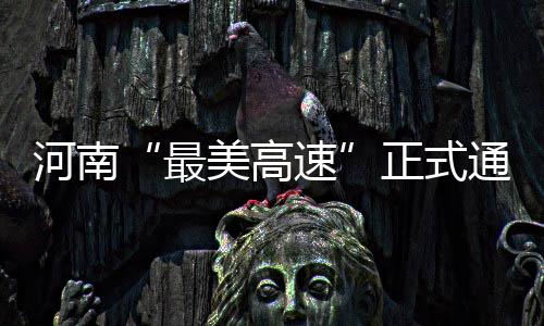 我省多地遭遇大雾天气 大雾还没有真正结束 记者从省交通运输厅了解到