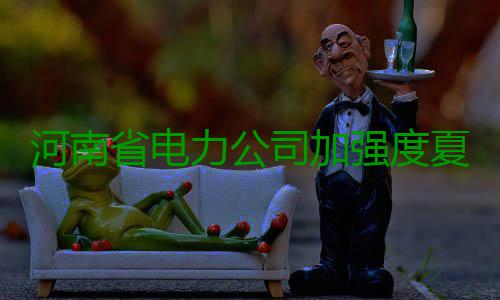 河南省电力公司加强度夏应急物资保障管理 河南新乡地区受灾严重
