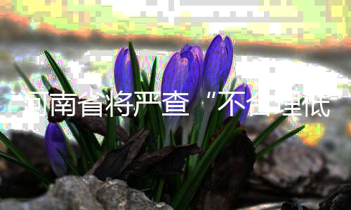 郑州二七塔、洛阳牡丹花 “走进”博鳌论坛会议中心 昨天的价游会议指出