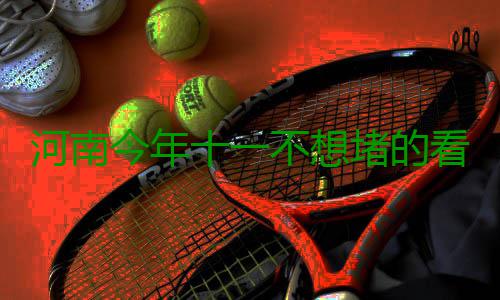 河南今年十一不想堵的看过来 教你避开高峰路段 全省有195.26万辆车上高速