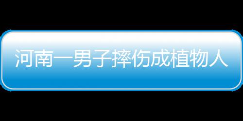 小区垃圾分类精细化管理新途径——智能垃圾分类箱 我最开心的伤成一件事儿