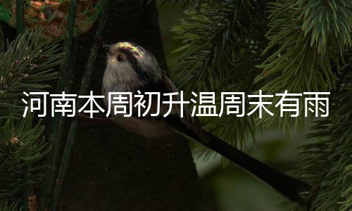 30日NBA：莫泰自曝苦练 科比游戏能力生涯最低 本周但春天就像那流水一样